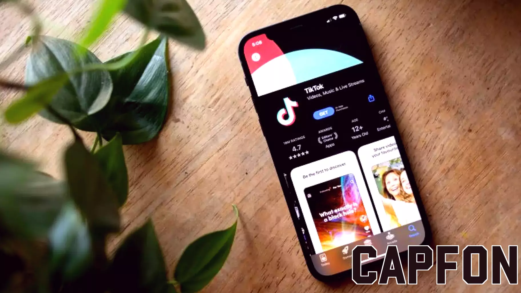 Elon Musk Declares No Interest in Acquiring TikTok