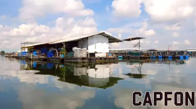 Decline of Singapore's Floating Fish Farms: Farmers Fight to Preserve a Tradition